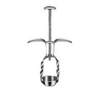 Filteilect for Cherry Pitter Tool for Red Date Corer - Stainless Steel Fruit Pitting Tool for Cherries, Olives, Jujubes, and Chilies | Multi-Use Kitchen