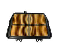 Air Filter Miw Triumph 800TIGER/XC/XR : T23101 Triumph 800 Ti