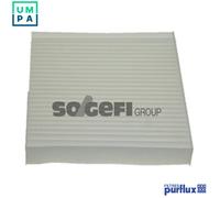 Purflux Cabin Air Filter AH169/A538 - Pollen Filter for Renault Scenic I MPV