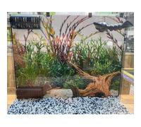 Filter Foams Compatible with Fluval Flex Background Poster 34 L Poster A Plant Red