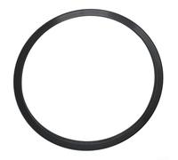 Filter Gasket Replacement,Filter Head Gasket,O-Ring For Hayward CX250F For Select Star-Clear Cartridge,Fits C250, C500, C750, C1000(1pc)