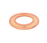 Filtron Air Filter AP008