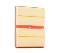 FILTRON AP 062/2 Air filter