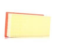 FILTRON AP 196/6 Air filter