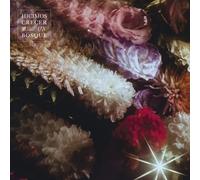 FIN DEL MUNDO - HICIMOS CRECER UN BOSQUE