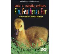 Fin Feathers & Fur - Cute & Cuddly Critters: Fin Feathers & Fur [DVD] [Region 1] [US Import] [NTSC]