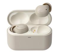 Final Audio ZE500 True Wireless ASMR Earphones Dark Cream