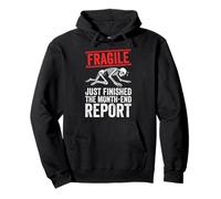 Financial Controlling Finance Team Finance Controller Pullover Hoodie