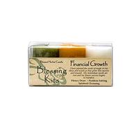 Financial Growth Blessing Kit