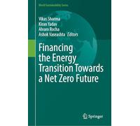 Financing the Energy Transition Towards a Net Zero Future (World Sustainability Series)