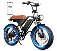 Finbike Electric Bikes for Adults, 250W Electric Dirt Bike, Max 120KM Range | 48V 18.2Ah Battery | 20" x4.0 All-Terrain Fat Tire | 80N·m Torque | APP Control | Full Suspension | LCD Display+USB