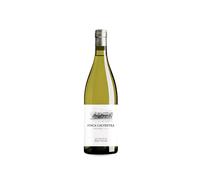 Finca Calvestra 2025