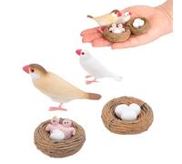 Finch Bird Life Cycle Set, 4Pcs PVC Realistic Animal Growth Stage Figures Educational Learning Toy for Kids Science