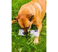 Kikkerland Plush Toys for Dogs Newspaper Dog Toy