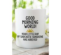 Find Me A Gift Good Morning World Sarcastic Mug Multi