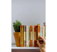Find Me A Gift Plant Pot Bookends Multi
