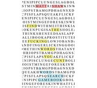Find the fucking swear words, you cunt: a word search game book