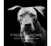 Finding Home: Shelter Dogs and Their Stories