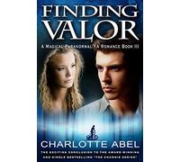 Finding Valor: Volume 3 (The Channie Series)