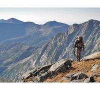 Finding Wild - Wild Places, Wild Creatures and The Wild Within