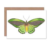 Fine Art Prints Butterfly Green Greeting Card With Envelope Inside Premium Quality