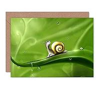 Fine Art Prints Cute Snail Rain Greeting Card With Envelope Inside Premium Quality