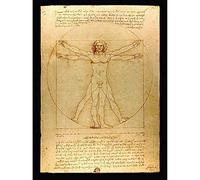 Fine Art Prints Da Vinci Vitruvian Man Human Proportions 1490 Diagram Art Print Canvas Premium Wall Decor Poster Mural,Gold,16 x 12 inches