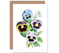 Fine Art Prints Flower Pansies Viola Illustration Greeting Card With Envelope Inside Premium Quality