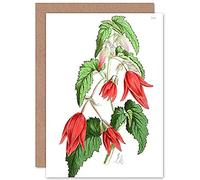 Fine Art Prints Flower Red Green Pointed Bell Greeting Card With Envelope Inside Premium Quality
