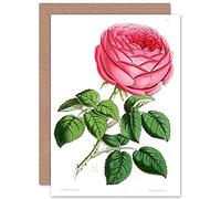 Fine Art Prints Flower Red Rose Greeting Card With Envelope Inside Premium Quality