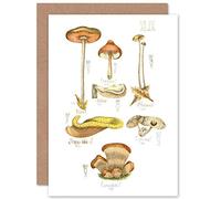 Fine Art Prints Fungus Mushrooms Concalus Oreades Greeting Card With Envelope Inside Premium Quality