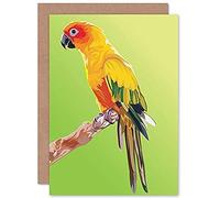 Fine Art Prints Parrot Illustration Colourful Greeting Card With Envelope Inside Premium Quality