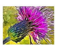 Fine Art Prints Scottish Thistle Flower Vibrant Canvas Wall Art Print,Purple,16 x 12 inches