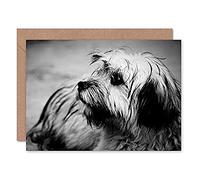 Fine Art Prints Terrier Dog Black And White Photo Greeting Card With Envelope Inside Premium Quality