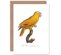 Fine Art Prints Yellow Amazon Bird Greeting Card With Envelope Inside Premium Quality