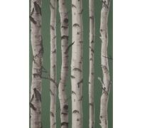 Fine Décor Fine Decor Birch Trees Hunter Green Wallpaper Fd43292