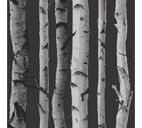 Fine Décor Fine Decor Distinctive Birch Tree Black/silver Flat Surface Wallpaper Fd31052