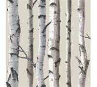Fine Décor Fine Decor Distinctive Birch Tree Cream & Silver Wallpaper Fd31051