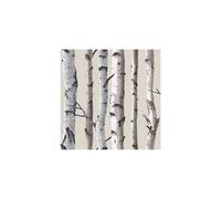 Fine Decor Natural Beige / Cream - FD31051 - Birch Tree - Forest Woods - Wallpaper