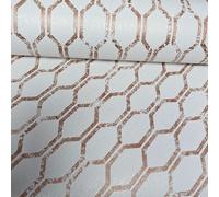 Fine Décor Tempus Copper & White Hexagon Geometric Wallpaper Fd25049