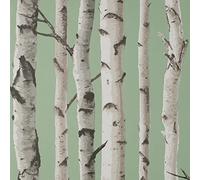 Fine Decor UK Birch Trees SW SAGE