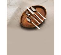 Fine Dine 766200 Adria 18/10 Chromium-Nickel Steel Dinner Spoon, 196mm Diameter