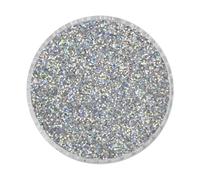 Fine Glitter Dust 24 Holographic Colours Nails Art Face Body Eye Shadow Craft (Holographic - Diamond Silver -LB101) (Sample Size)