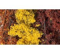 Fine Leaf Foliage - Fall Mix