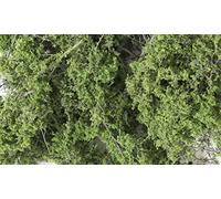 Woodland Scenics: Medium Green Fine Leaf Foliage