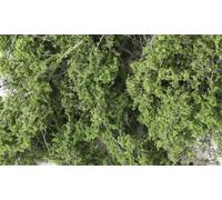 Woodland Scenics - Fine Leaf Foliage - Medium Green (US Import)