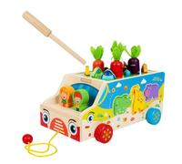 Fine Motor Toys - Carrot Harvest Shape Sorting Game, Educational Developmental Toy with Colorful Pieces, Promotes Hand Eye Coordination, Problem Solving, Fine Motor Skills for Kids 1 to 3 Toy