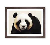 Fine Panda WHT Framed Print | A4 Walnut Framed Wall Art | Ready to Hang | Modern Animal Picture | Living Room Bedroom Lounge Office
