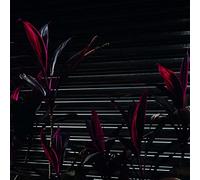 Fine Place - This New Heaven [VINYL]