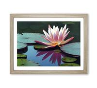 Fine Water Lily Pond Framed Print | A2 Oak Framed Wall Art | Ready to Hang | Modern Floral Picture | Living Room Bedroom Lounge Office